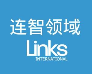 连智领域企业管理咨询 驱动上海企业高效发展的战略伙伴